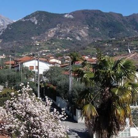 House Versilia Luca E Giada, 5 Chilometri Da Forte Dei Marmi! エクステリア 写真